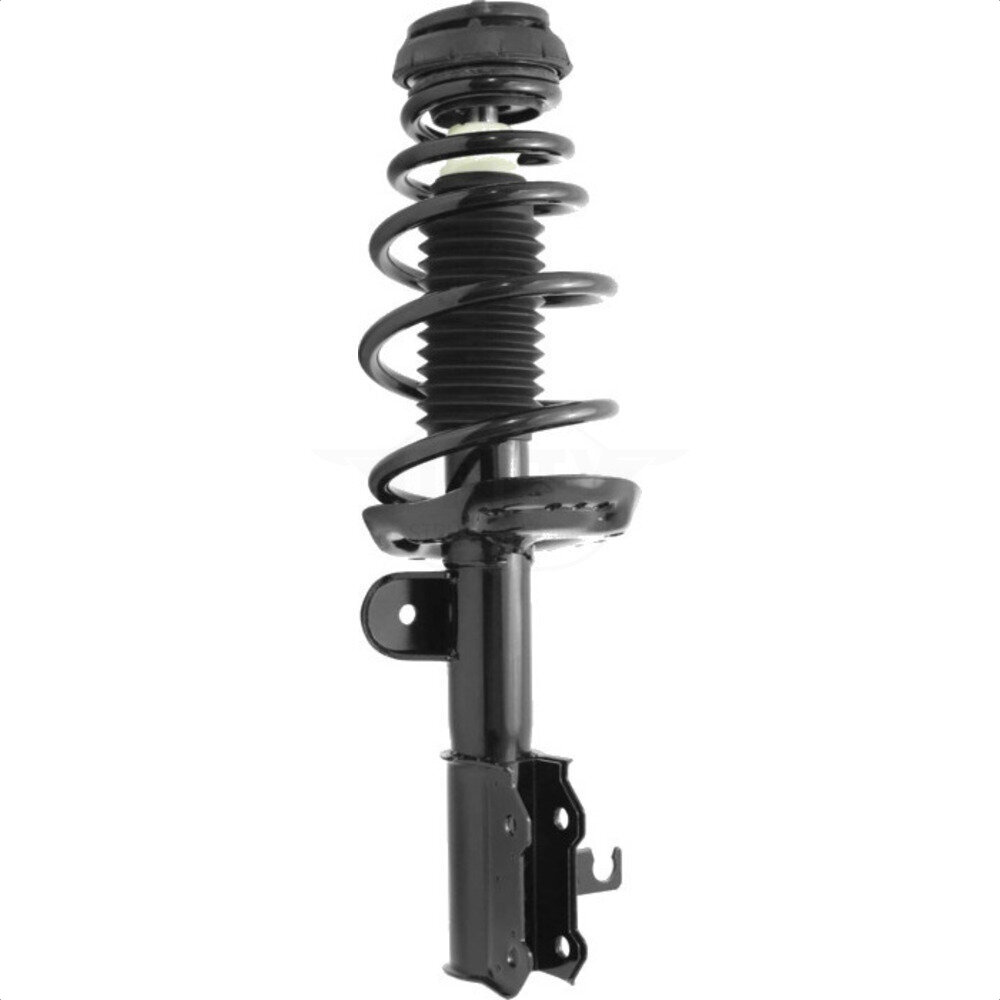 Suspension Strut Coil Spring Assembly
