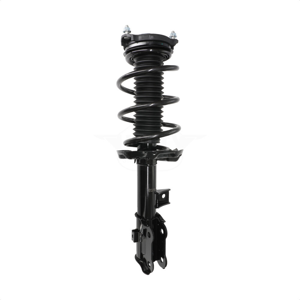 Suspension Strut Coil Spring Assembly
