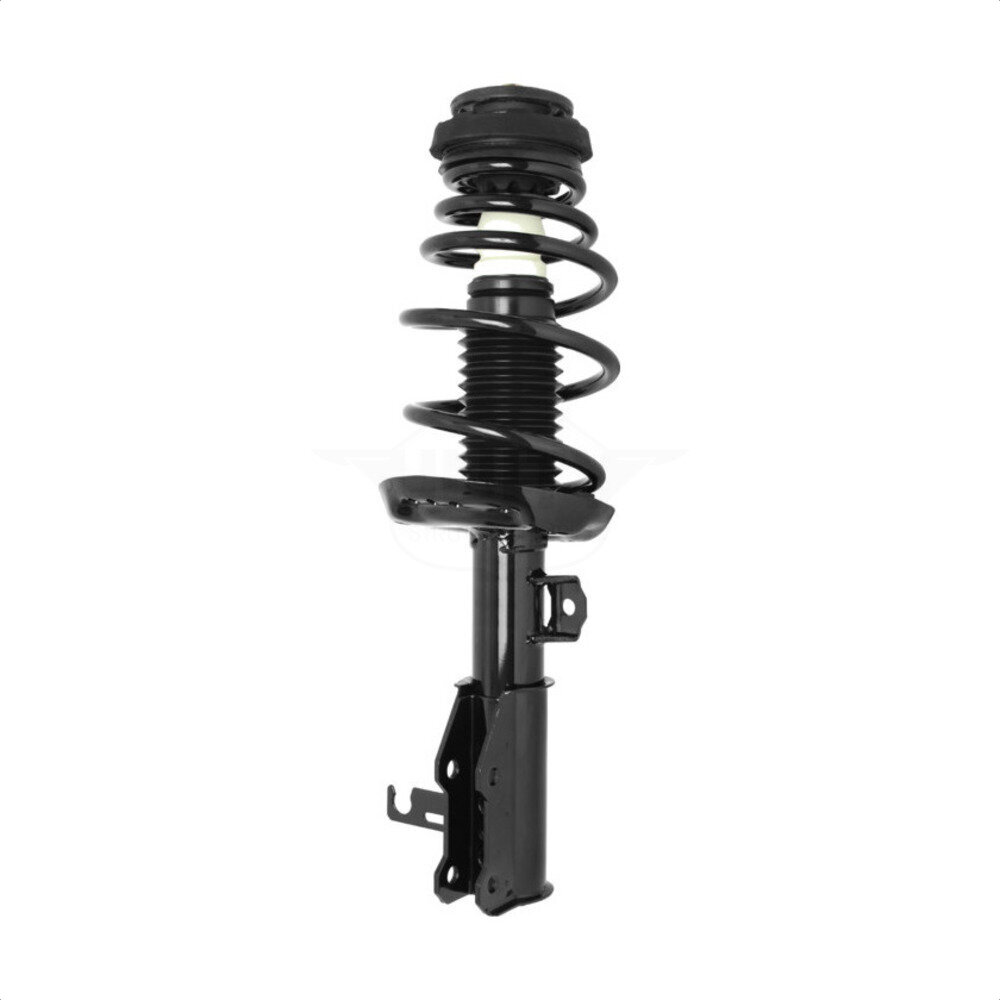 Suspension Strut Coil Spring Assembly