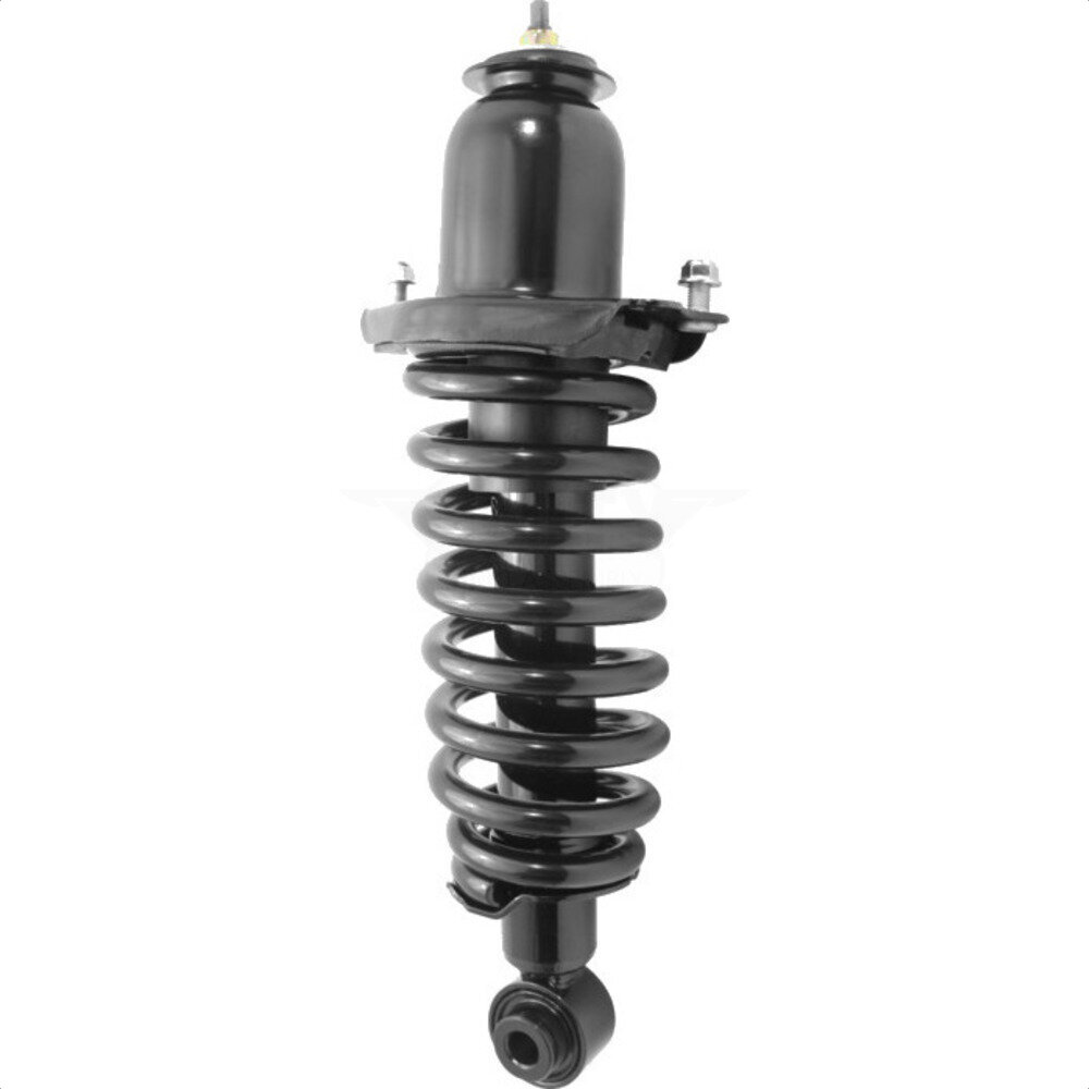 Suspension Strut Coil Spring Assembly