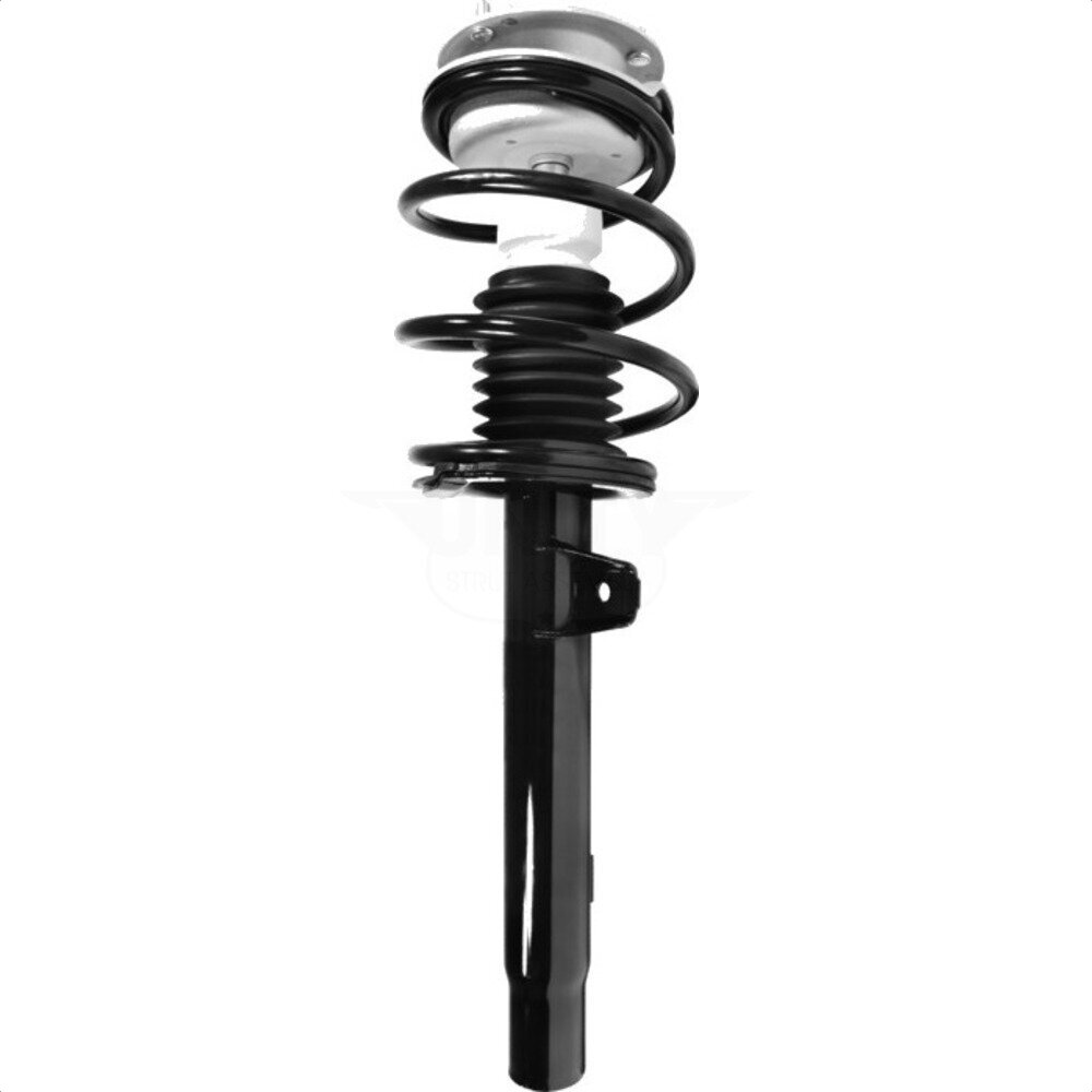 Suspension Strut Coil Spring Assembly