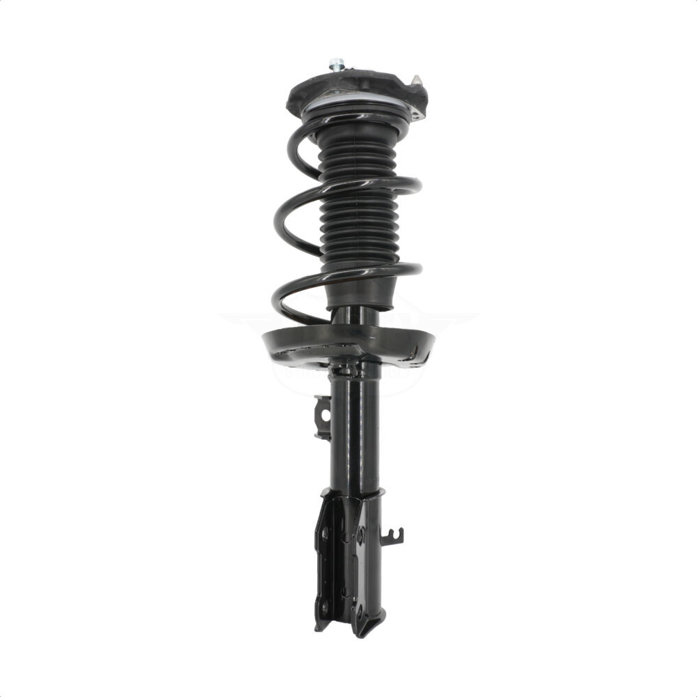 Suspension Strut Coil Spring Assembly