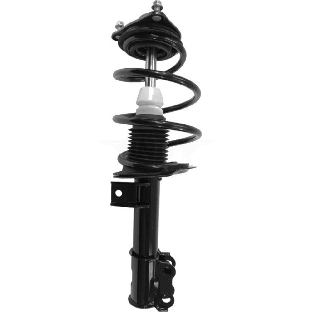 Suspension Strut Coil Spring Assembly