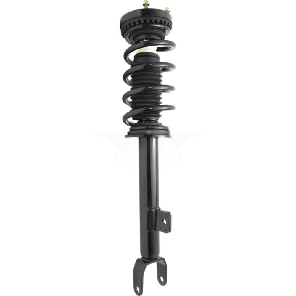 Suspension Strut Coil Spring Assembly