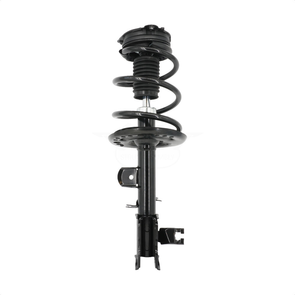 Suspension Strut Coil Spring Assembly