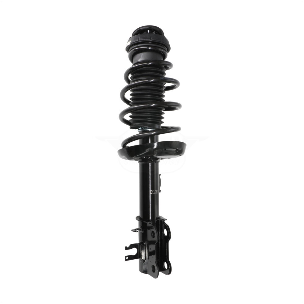 Suspension Strut Coil Spring Assembly