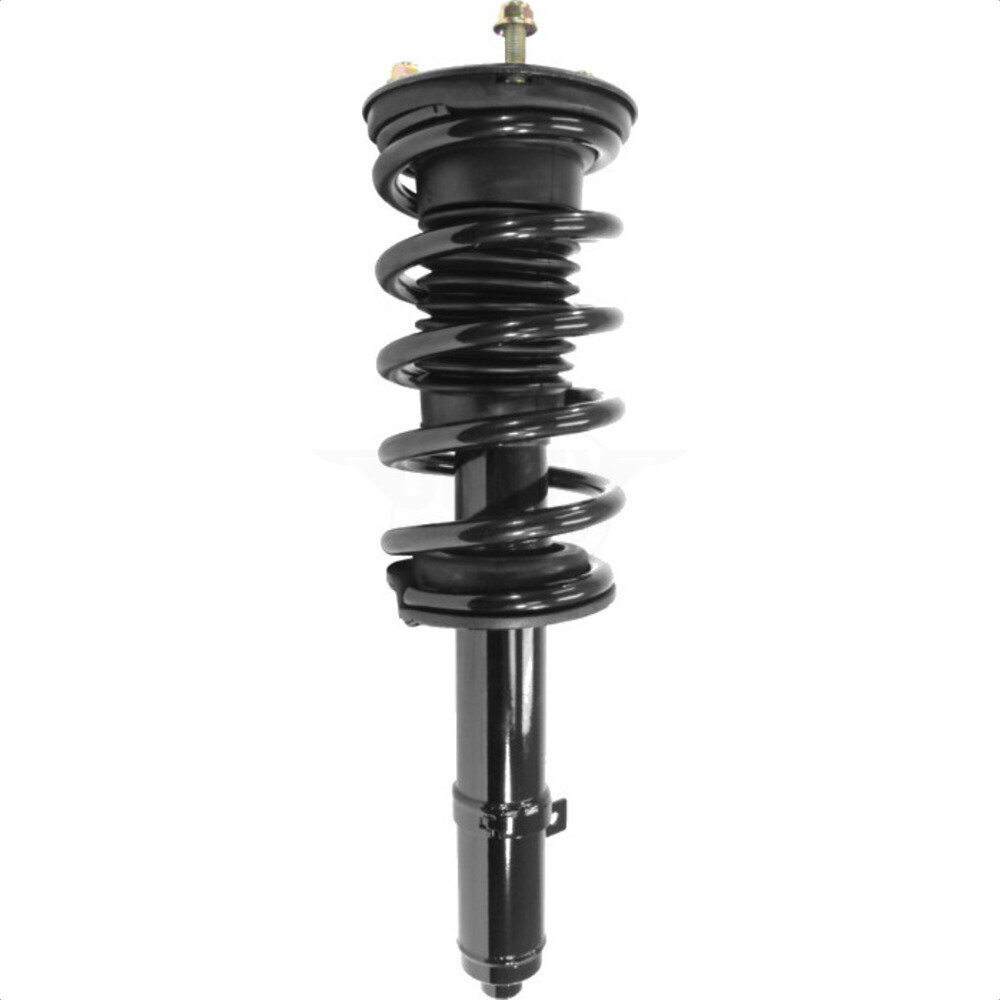 Suspension Strut Coil Spring Assembly