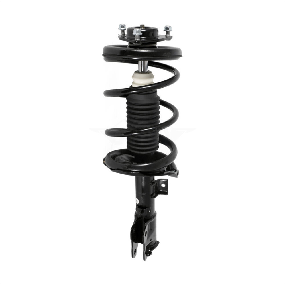 Suspension Strut Coil Spring Assembly