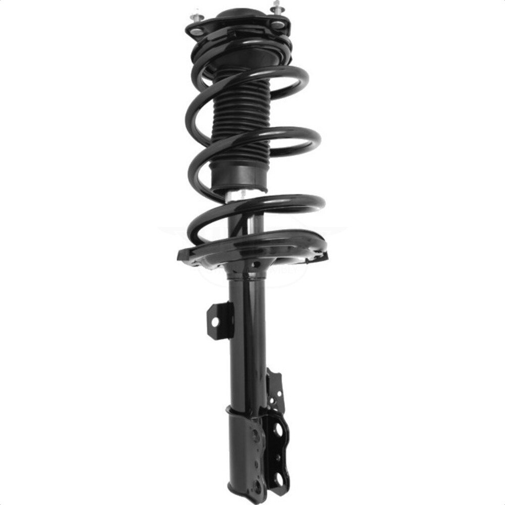 Suspension Strut Coil Spring Assembly