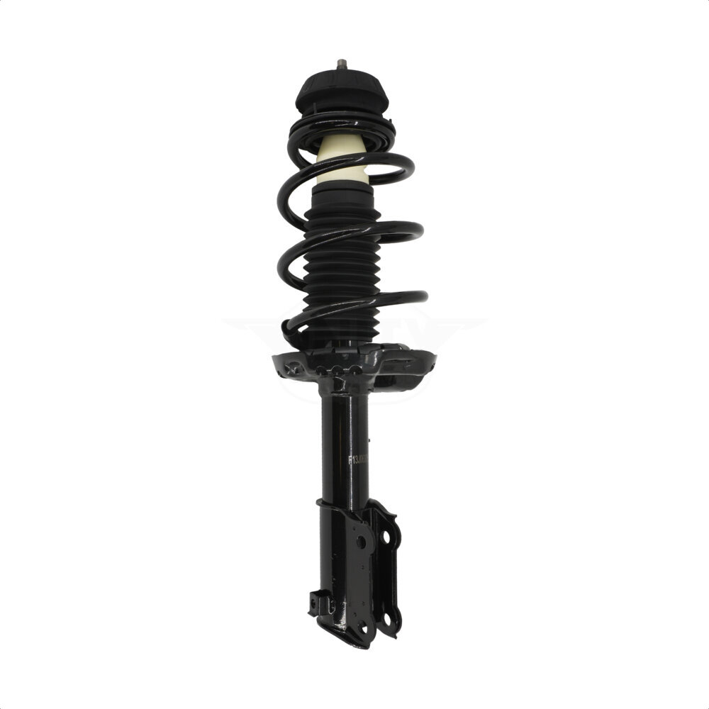 Suspension Strut Coil Spring Assembly