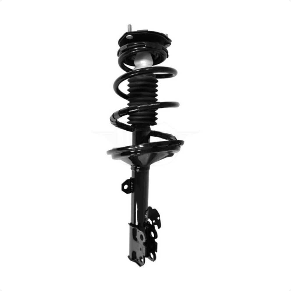 Suspension Strut Coil Spring Assembly