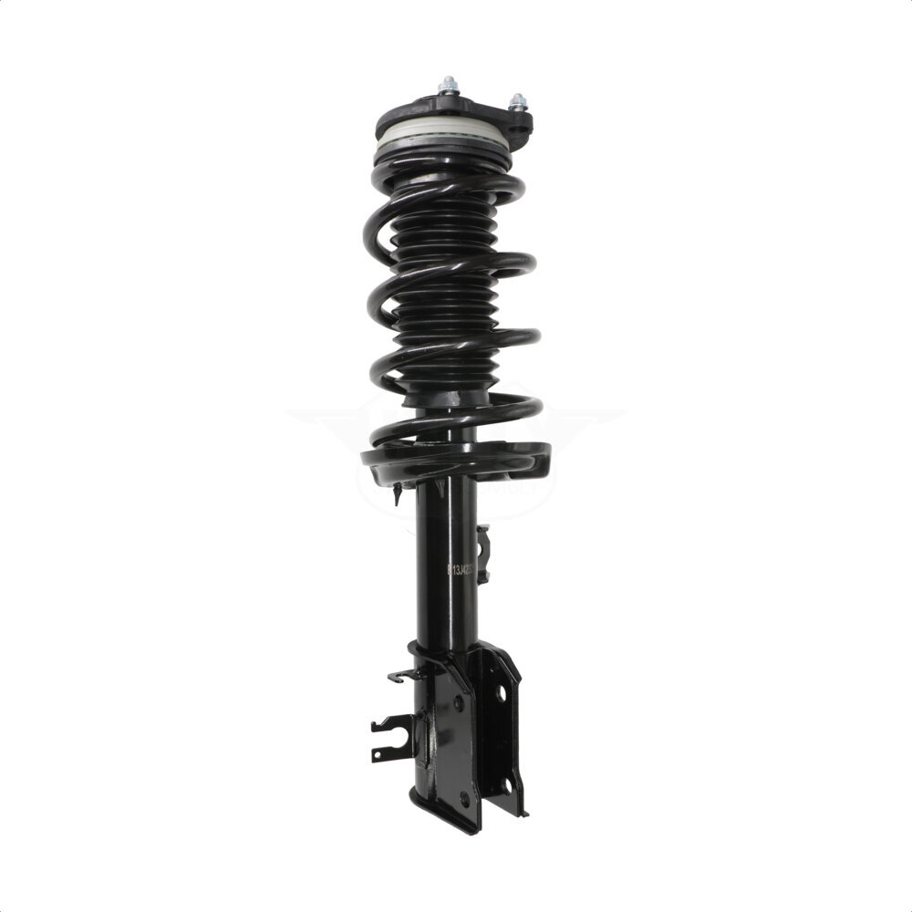 Suspension Strut Coil Spring Assembly