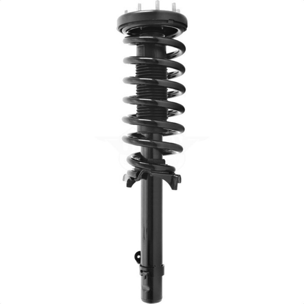 Suspension Strut Coil Spring Assembly
