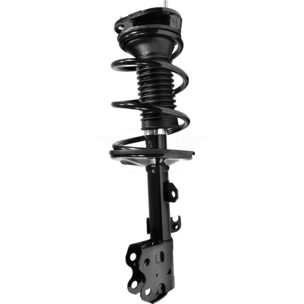 Suspension Strut Coil Spring Assembly