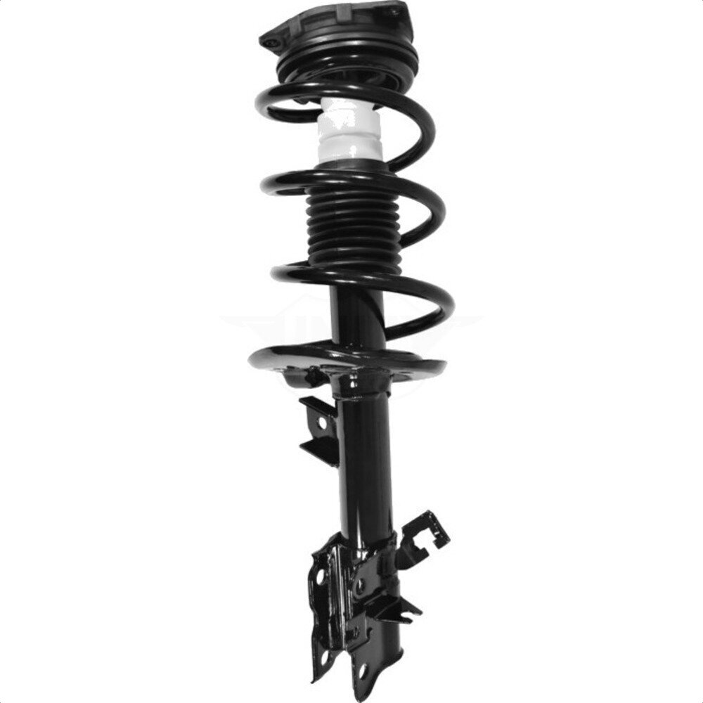 Suspension Strut Coil Spring Assembly