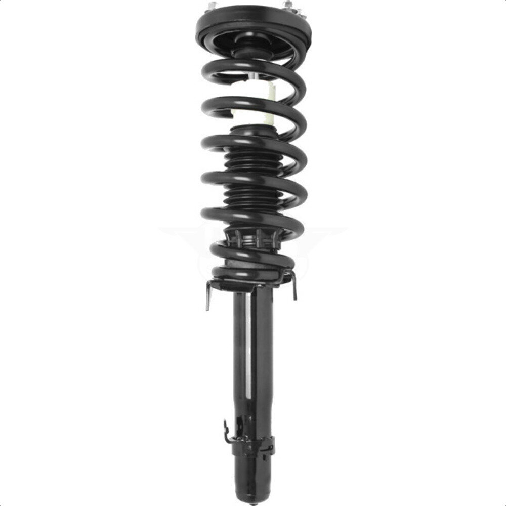 Suspension Strut Coil Spring Assembly