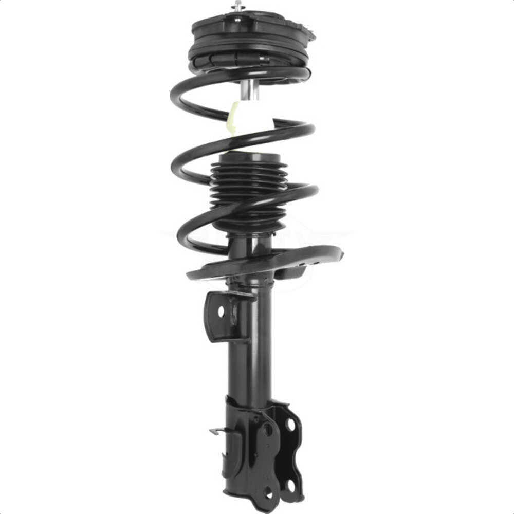 Suspension Strut Coil Spring Assembly