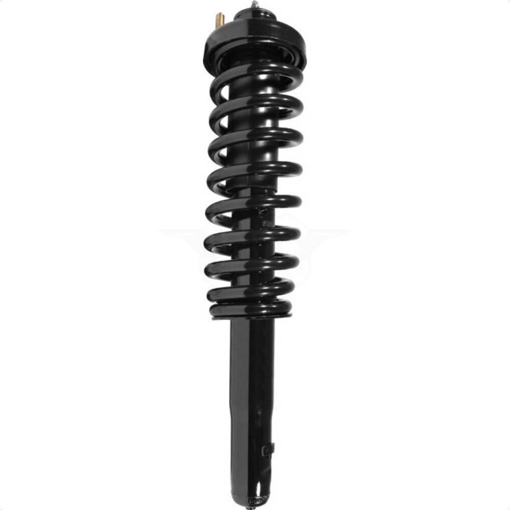 Suspension Strut Coil Spring Assembly