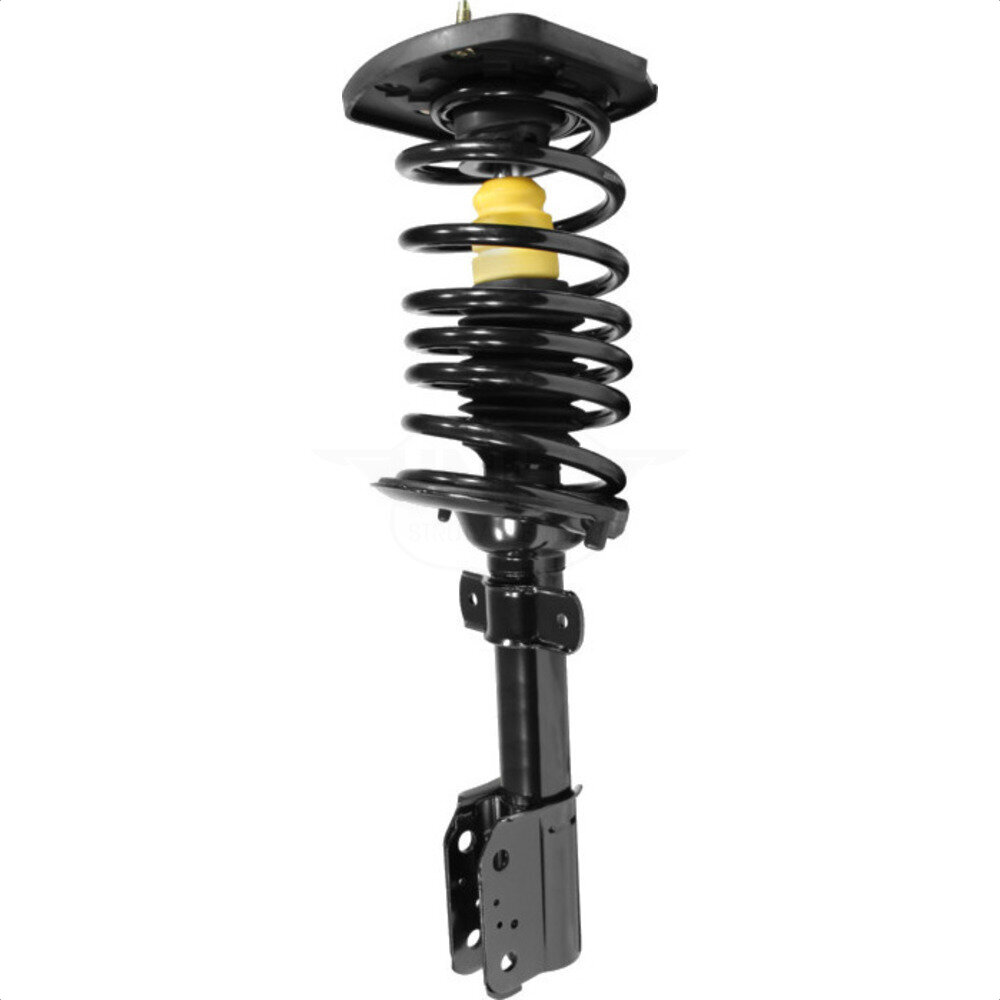 Suspension Strut Coil Spring Assembly