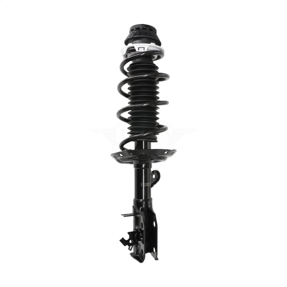 Suspension Strut Coil Spring Assembly