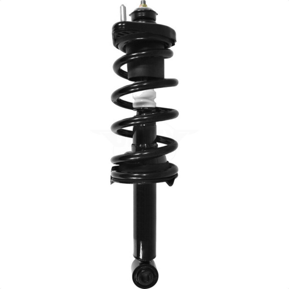 Suspension Strut Coil Spring Assembly