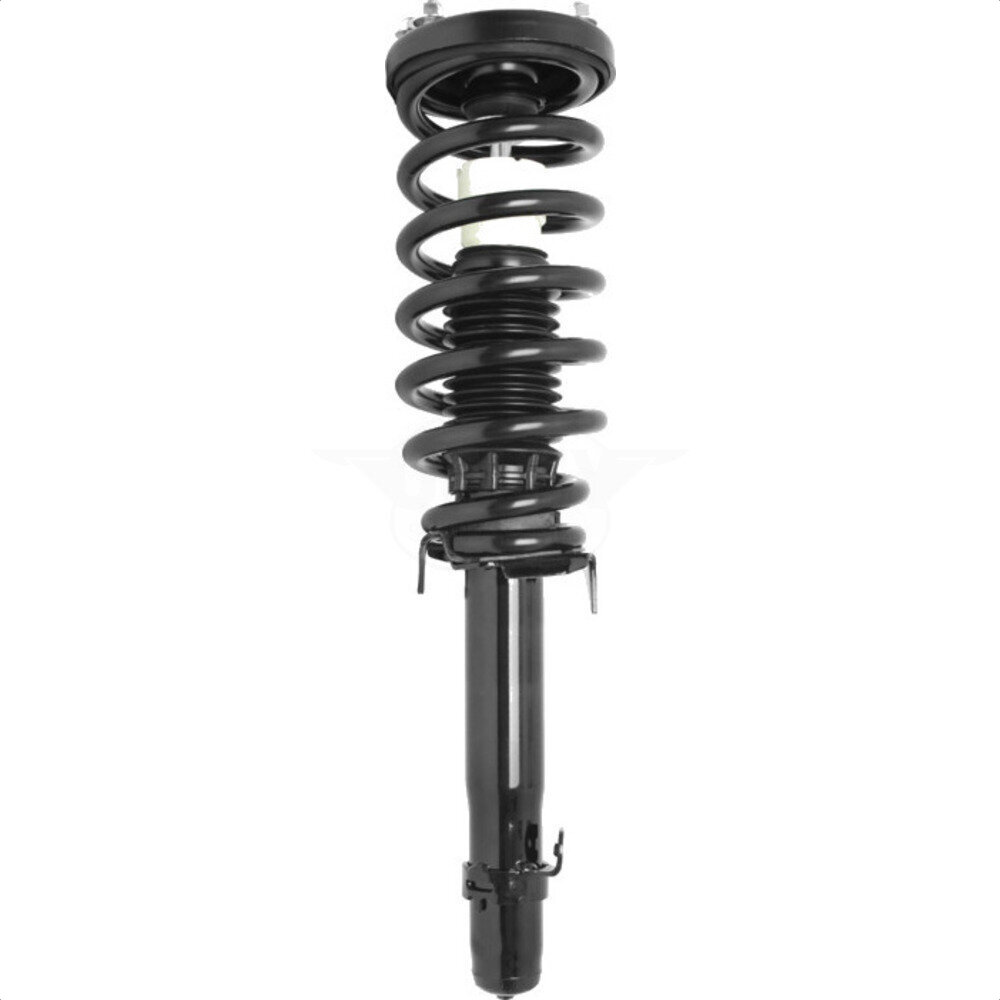 Suspension Strut Coil Spring Assembly