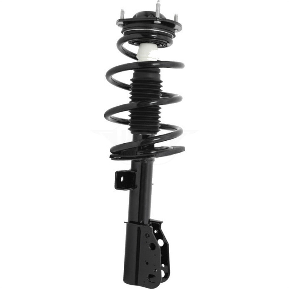 Suspension Strut Coil Spring Assembly