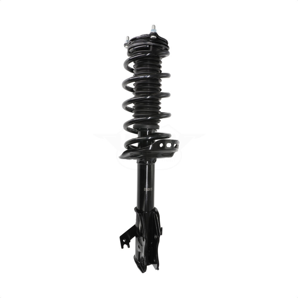 Suspension Strut Coil Spring Assembly