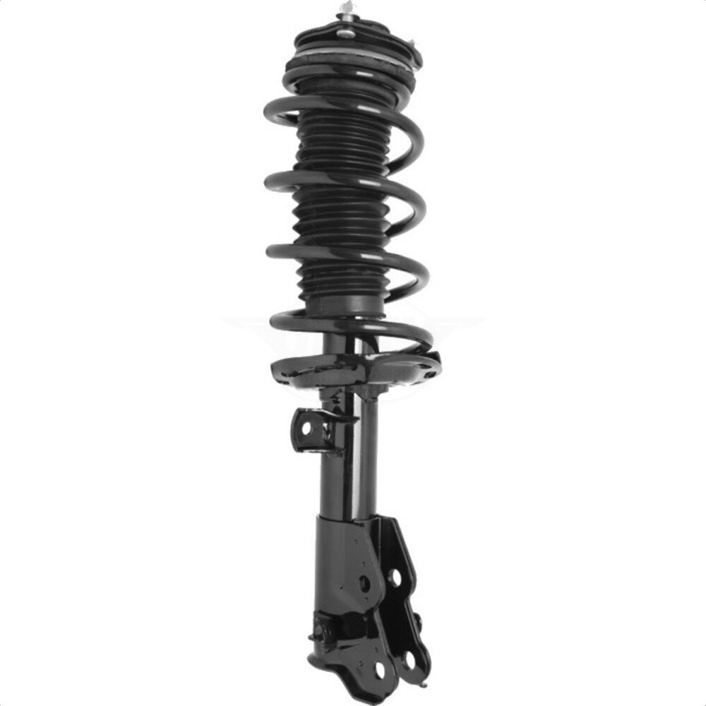 Suspension Strut Coil Spring Assembly
