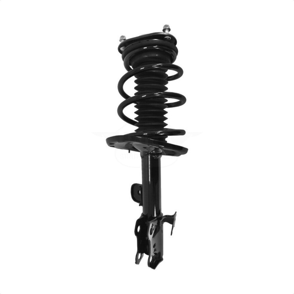 Suspension Strut Coil Spring Assembly