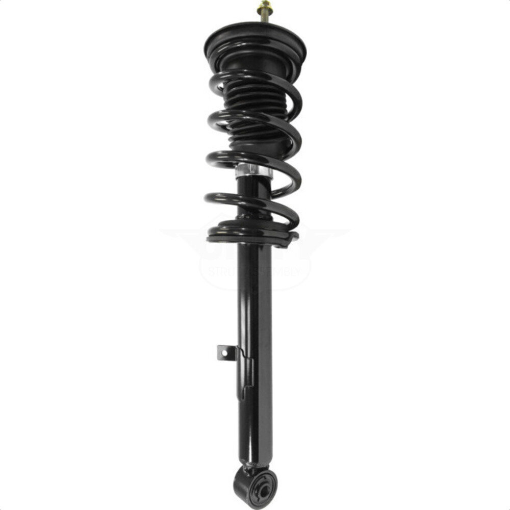 Suspension Strut Coil Spring Assembly