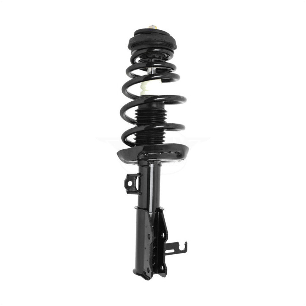 Suspension Strut Coil Spring Assembly