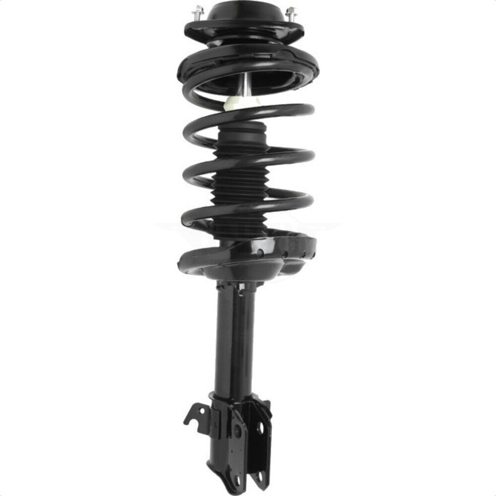 Suspension Strut Coil Spring Assembly