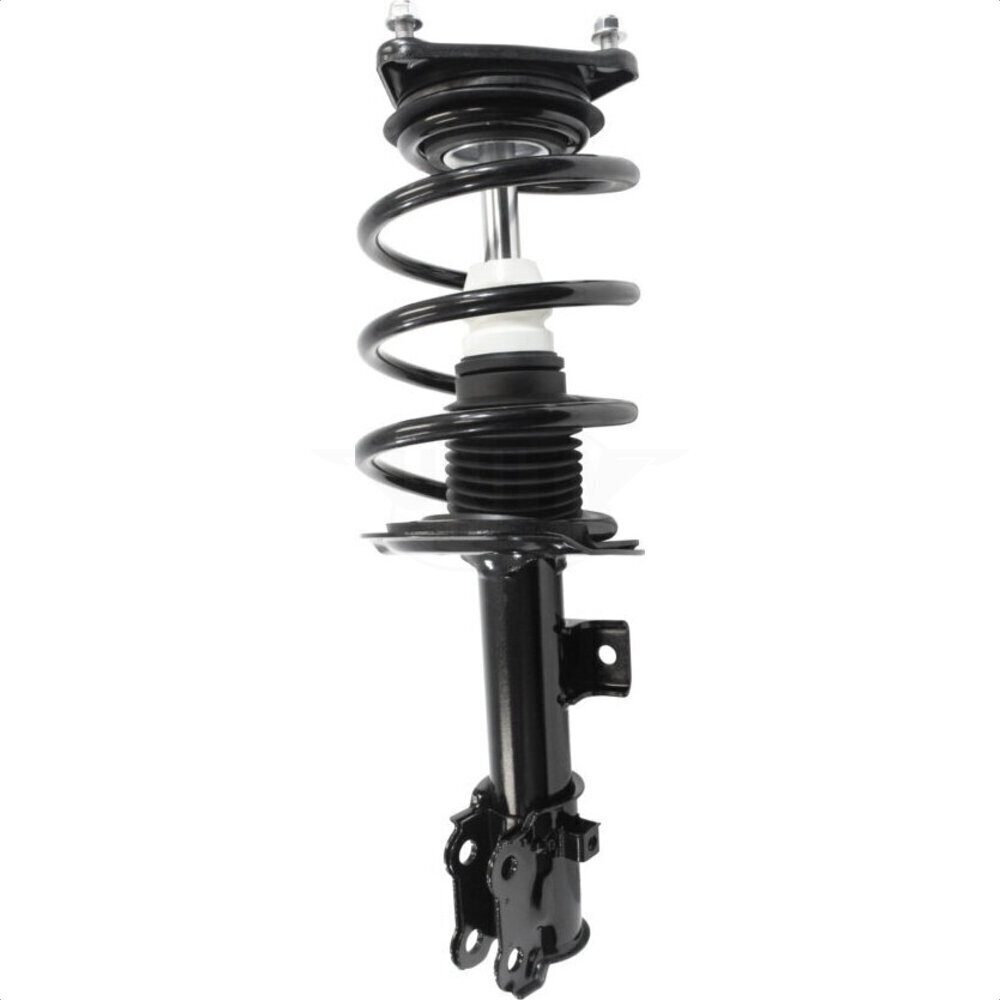 Suspension Strut Coil Spring Assembly