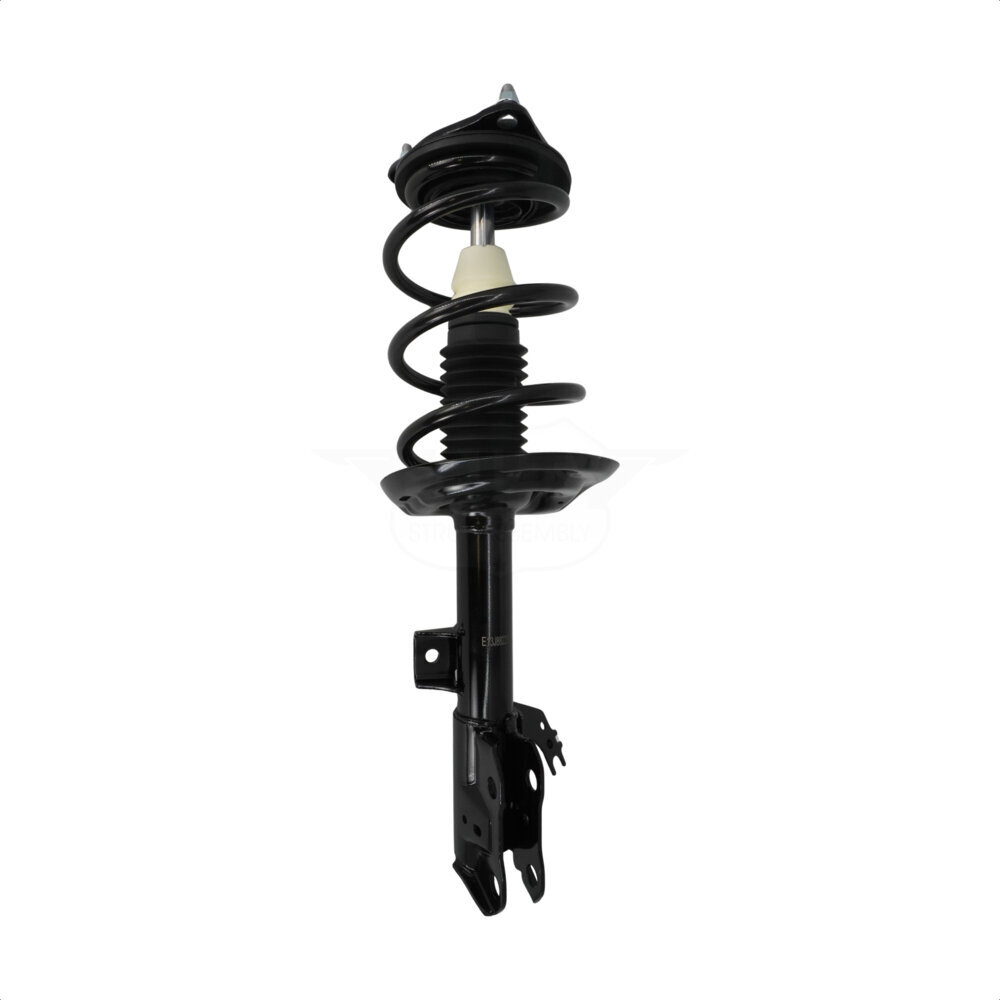 Suspension Strut Coil Spring Assembly