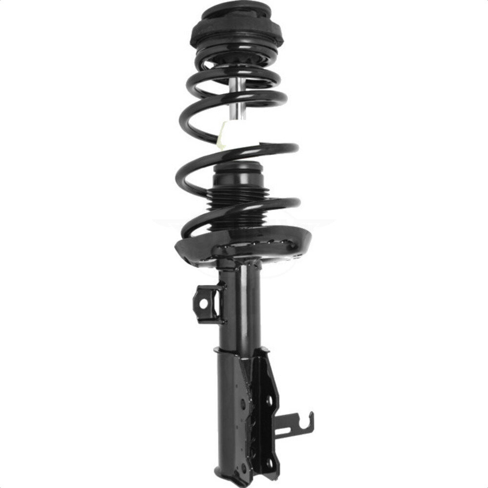 Suspension Strut Coil Spring Assembly