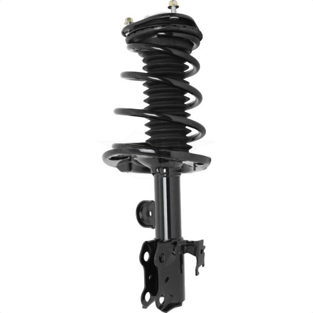 Suspension Strut Coil Spring Assembly