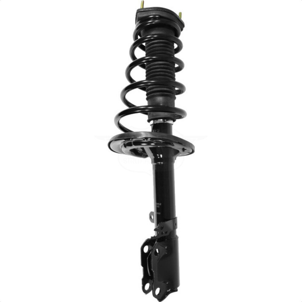 Suspension Strut Coil Spring Assembly