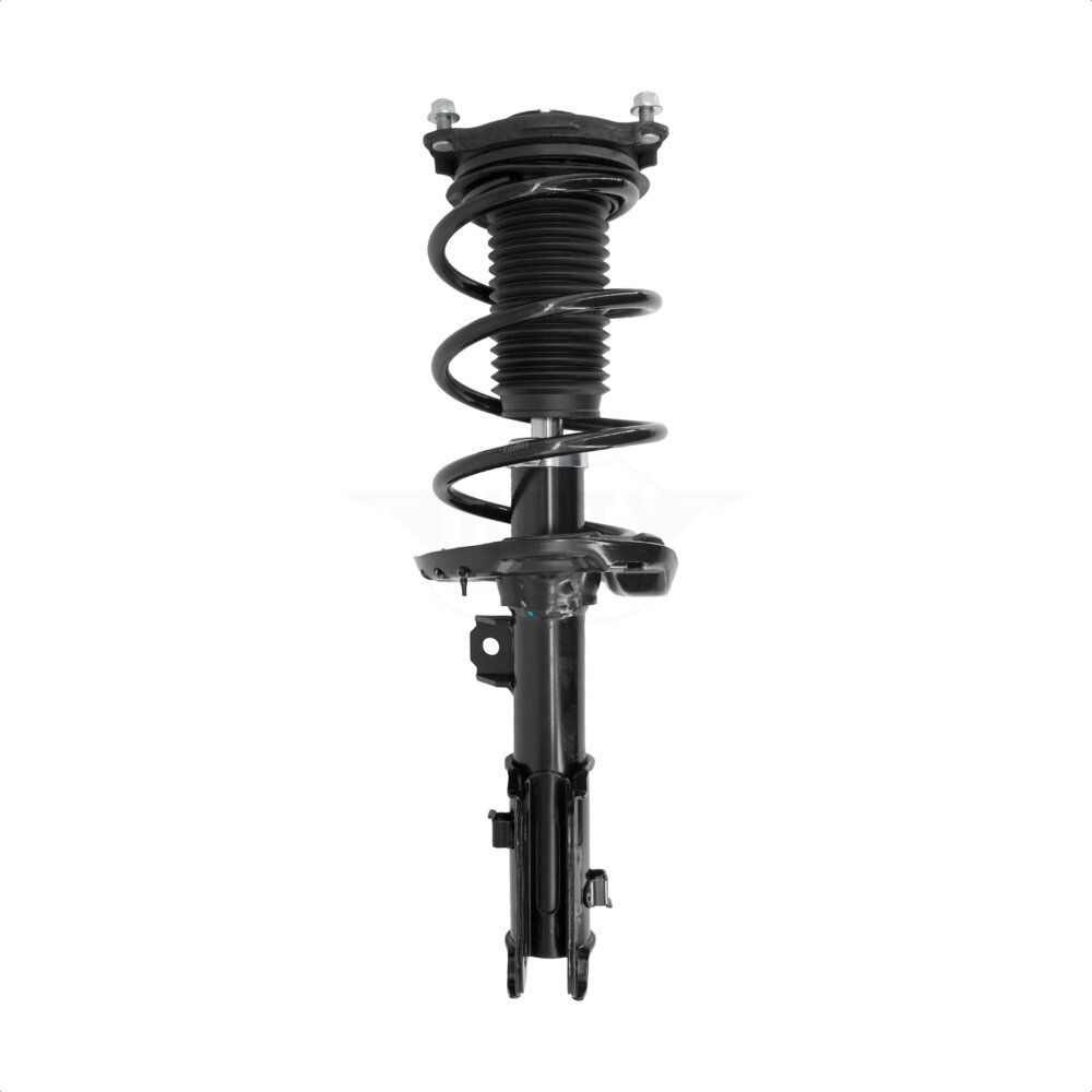 Suspension Strut Coil Spring Assembly