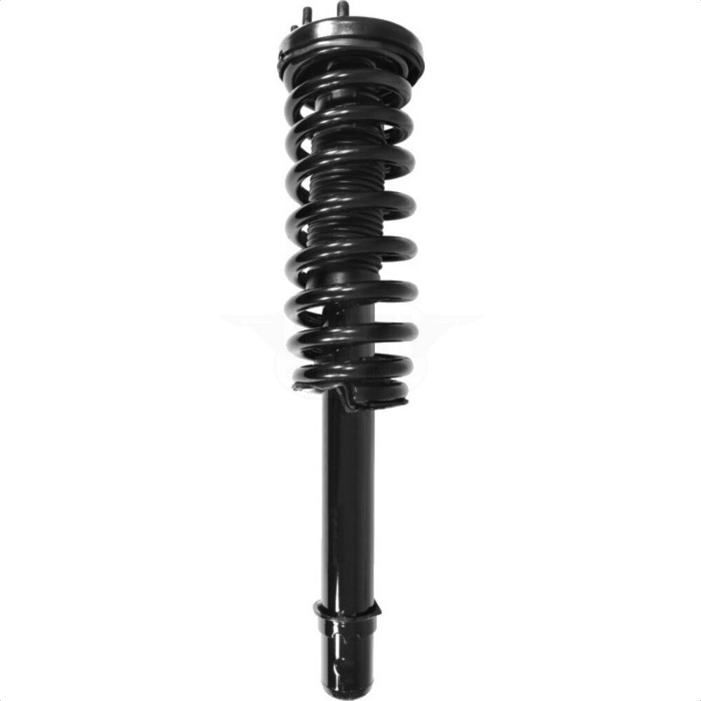 Suspension Strut Coil Spring Assembly