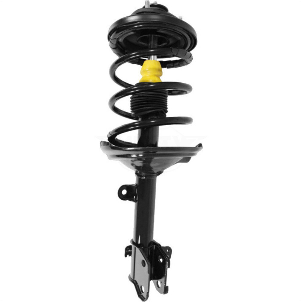Suspension Strut Coil Spring Assembly