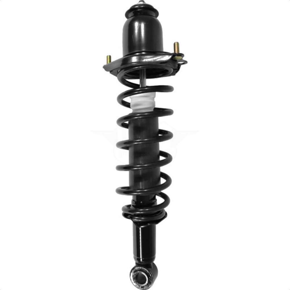 Suspension Strut Coil Spring Assembly