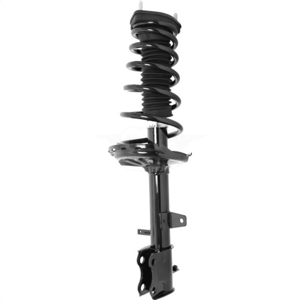 Suspension Strut Coil Spring Assembly