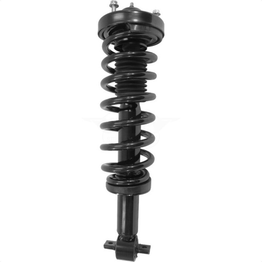 Suspension Strut Coil Spring Assembly