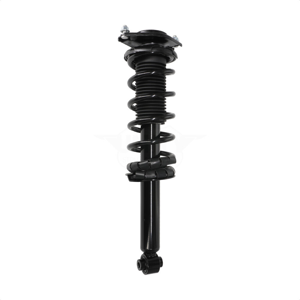 Suspension Strut Coil Spring Assembly