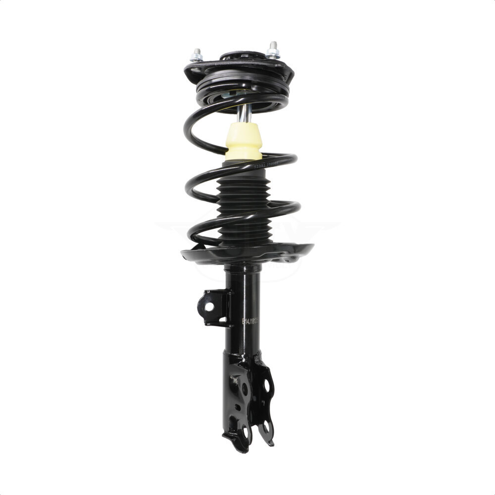 Suspension Strut Coil Spring Assembly