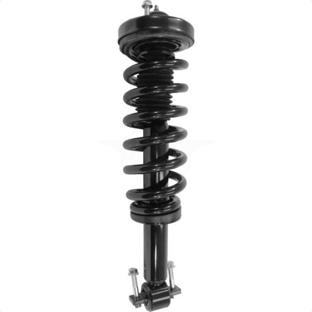 Suspension Strut Coil Spring Assembly