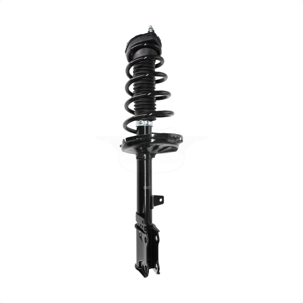 Suspension Strut Coil Spring Assembly
