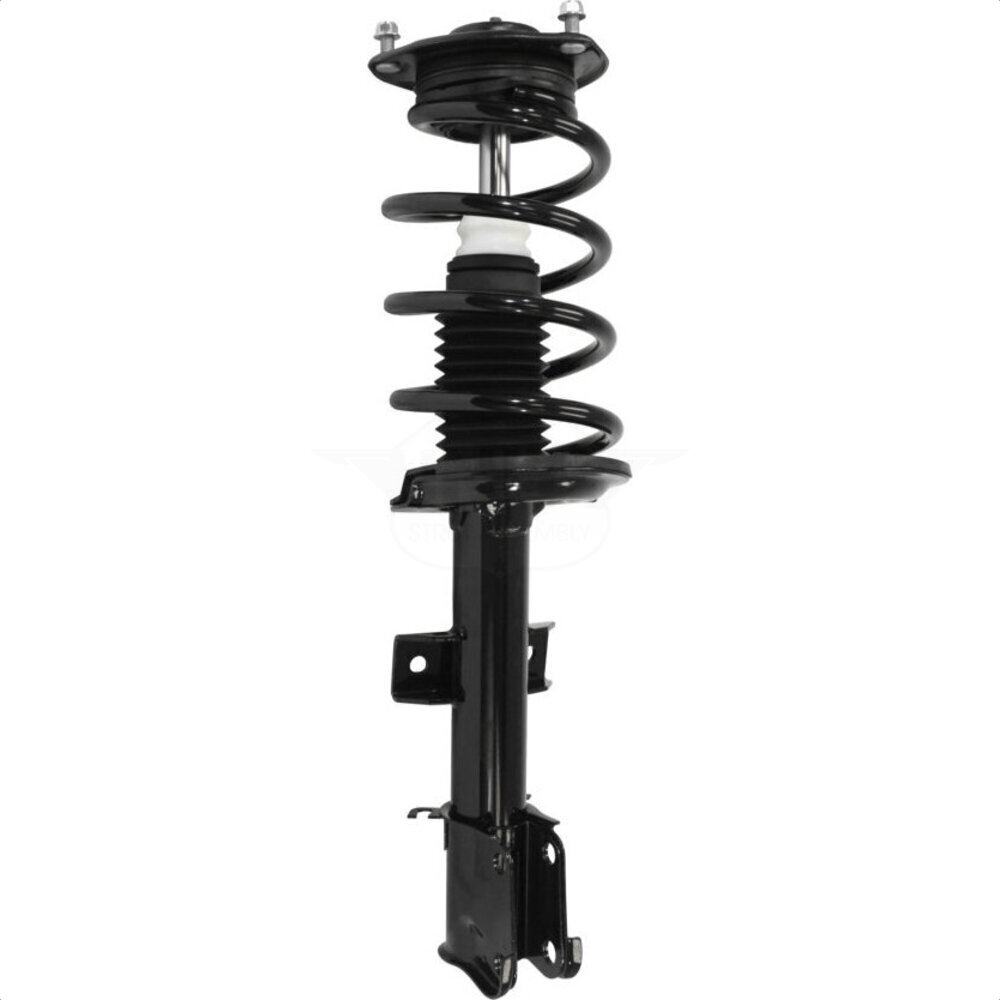 Suspension Strut Coil Spring Assembly