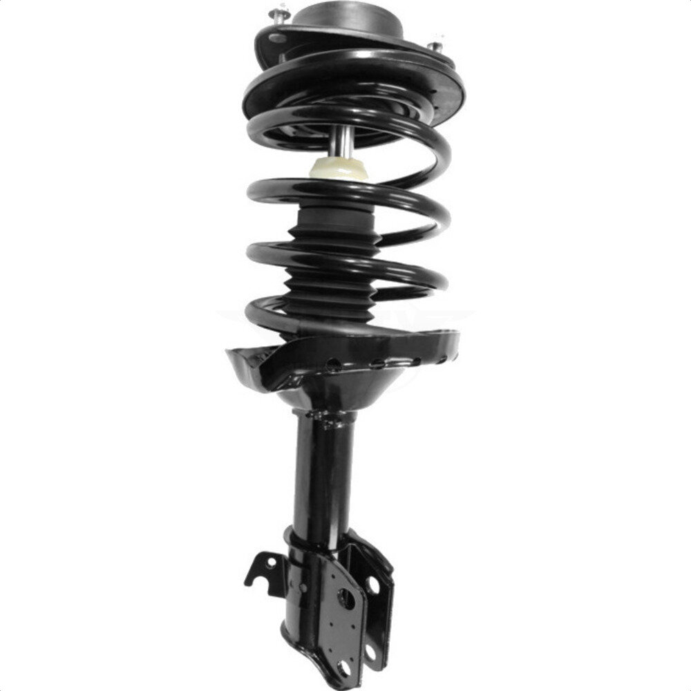 Suspension Strut Coil Spring Assembly